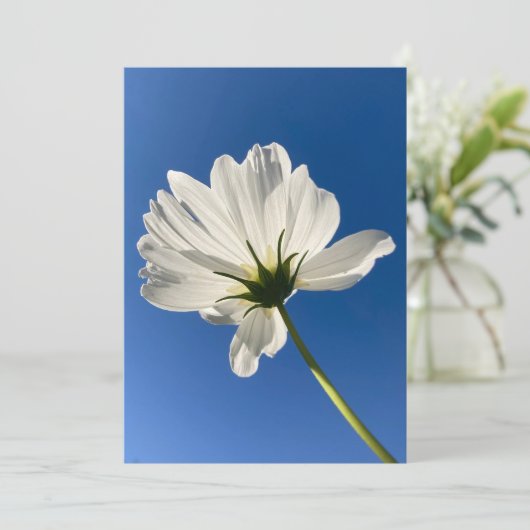 Witte Wilde Bloem Kaart (Staand voorkant)