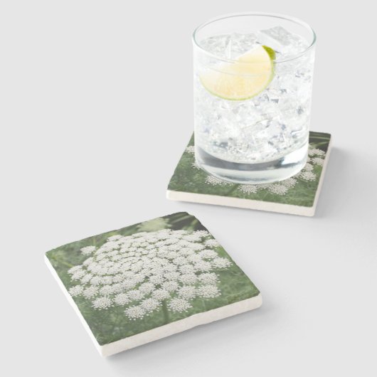 Witte Wilde Bloem Koninginnekrans Stenen Onderzetter (Zijkant)