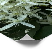 Witte Wilde Bloemen Foto Poster (Hoek)