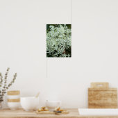 Witte Wilde Bloemen Foto Poster (Keuken)