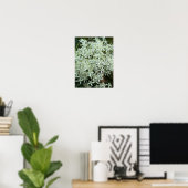 Witte Wilde Bloemen Foto Poster (Thuiskantoor)