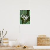 Witte Wilde Bloemen Foto Poster (Keuken)