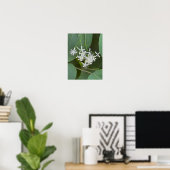 Witte Wilde Bloemen Foto Poster (Thuiskantoor)