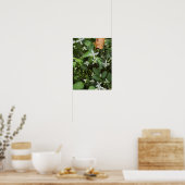 Witte Wilde Bloemen Foto Poster (Keuken)