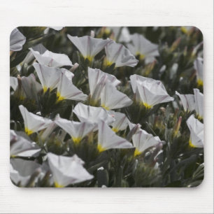 witte wilde bloemen muismat