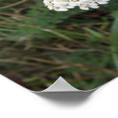 Witte wilde bloemen print (Hoek)