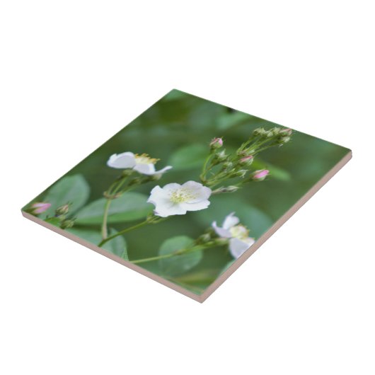 Witte wilde bloemen tegeltje (Zijkant)