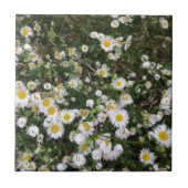 Witte wilde bloemen tegeltje (Voorkant)