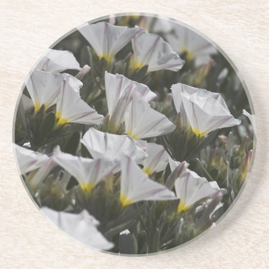 Witte wilde bloemen zandsteen onderzetter (Voorkant)