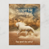 Witte wilde paarden die de woestijn passeren - Inz Briefkaart (Voorkant)