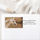 Witte wilde paarden etiket (Insitu)