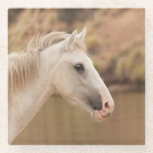 Witte wilde paarden glazen onderzetter