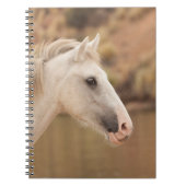 Witte wilde paarden notitieboek (Voorkant)