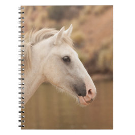 Witte wilde paarden notitieboek