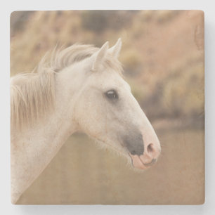 Witte wilde paarden stenen onderzetter