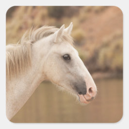 Witte wilde paarden vierkante sticker
