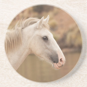 Witte wilde paarden zandsteen onderzetter