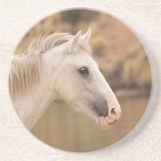 Witte wilde paarden zandsteen onderzetter (Voorkant)