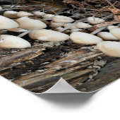 Witte wilde paddenstoelen Abstracte Natuur Poster (Hoek)