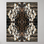 Witte wilde paddenstoelen Abstracte Natuur Poster (Voorkant)