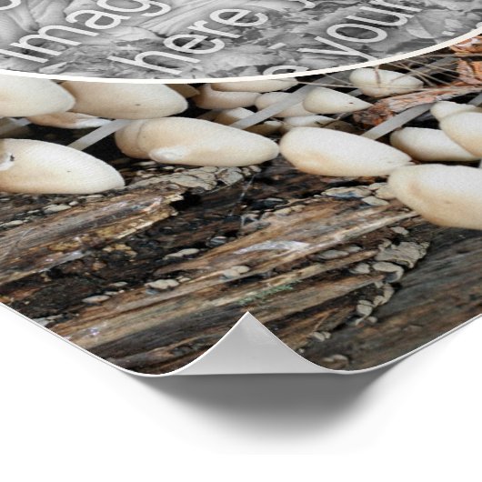 Witte wilde paddenstoelen Natuur Creëer Uw eigen f Poster (Hoek)