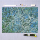 Witte wilde pruimenboom in bloesem tissuepapier (Craft)