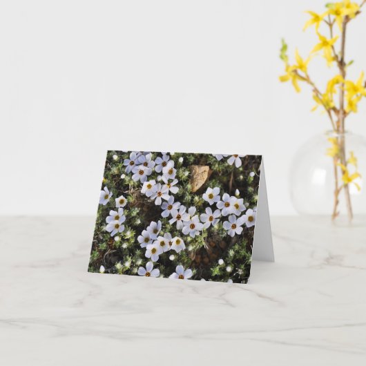 Witte Wildflower Notecard Kaart (Gele Bloem)