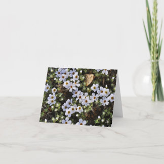 Witte Wildflower Notecard Kaart