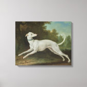 Witte windhond (door Jean-Baptiste Oudry) Canvas Afdruk (Voorkant)