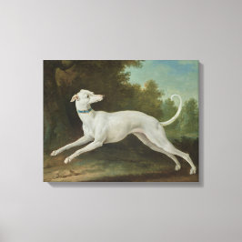 Witte windhond (door Jean-Baptiste Oudry) Canvas Afdruk
