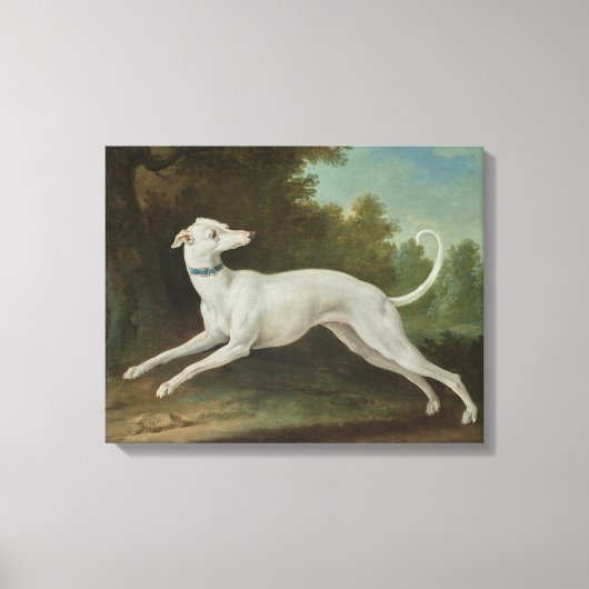 Witte windhond (door Jean-Baptiste Oudry) Canvas Afdruk (Voorkant)