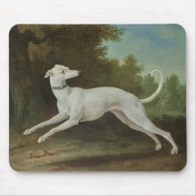Witte windhond (door Jean-Baptiste Oudry)