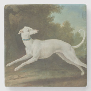 Witte windhond (door Jean-Baptiste Oudry) Stenen Onderzetter