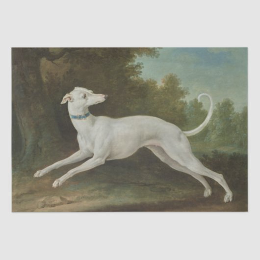Witte windhond (door Jean-Baptiste Oudry) Tissuepapier (Voorkant)