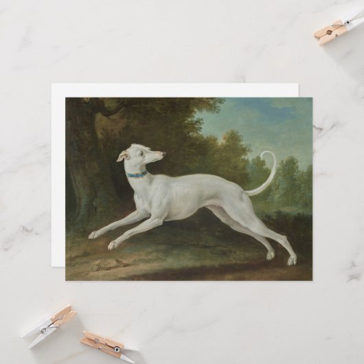 Witte windhond kaart (Voorkant / Achterkant in situ)