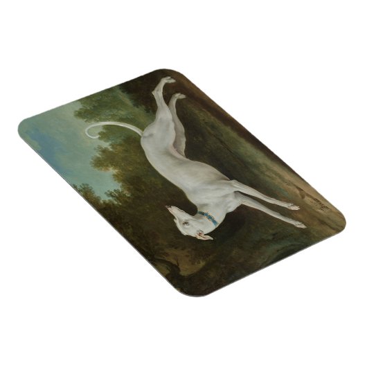 Witte windhond magneet (Rechterzijde)