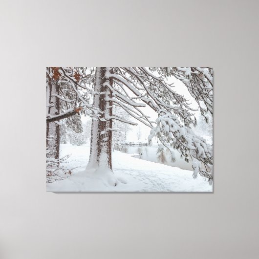 Witte winter canvas afdruk (Voorkant)