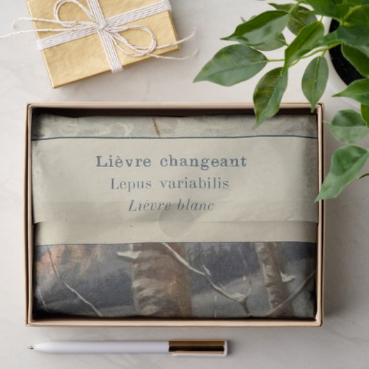 Witte Winter Konijn Ephemera Decoupage Tissuepapier (Geschenk)