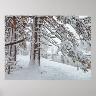 Witte Winter Poster