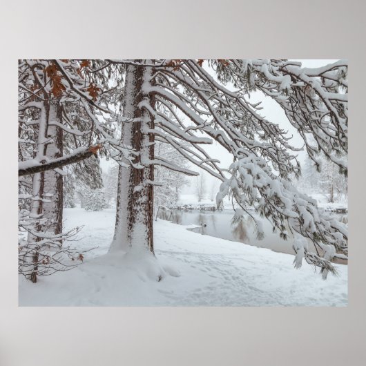 Witte Winter Poster (Voorkant)
