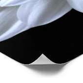 Witte, witte, witte melkachtige, witte, witte, wit poster (Hoek)