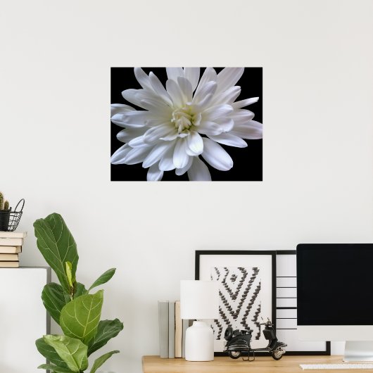 Witte, witte, witte melkachtige, witte, witte, wit poster (Thuiskantoor)