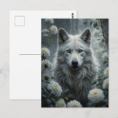Witte Wolf Briefkaart (Voorkant / Achterkant)