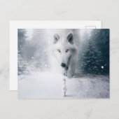Witte wolf briefkaart (Voorkant / Achterkant)