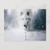 Witte wolf briefkaart (Voorkant)