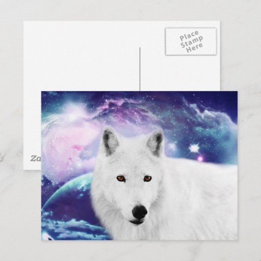 Witte wolf briefkaart (Voorkant / Achterkant)