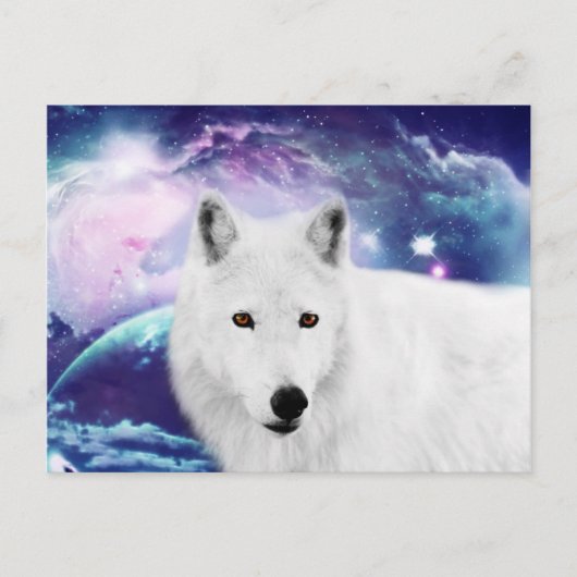 Witte wolf briefkaart (Voorkant)