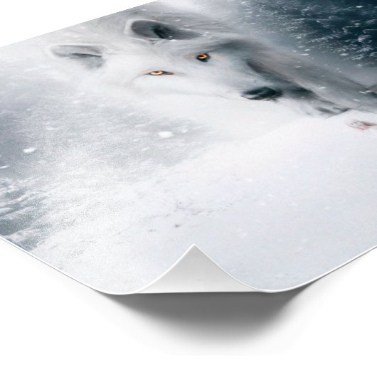 Witte wolf foto afdruk (Hoek)