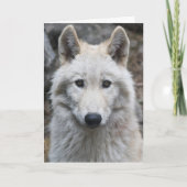 WITTE WOLF FOTOGRAFIE BIRTHDAY KAART (Voorkant)