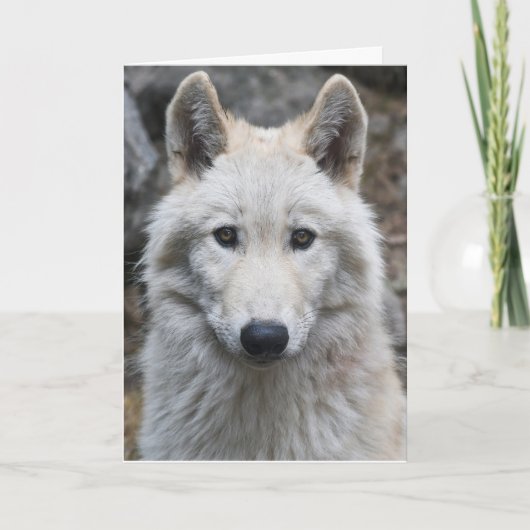 WITTE WOLF FOTOGRAFIE BIRTHDAY KAART (Voorkant)